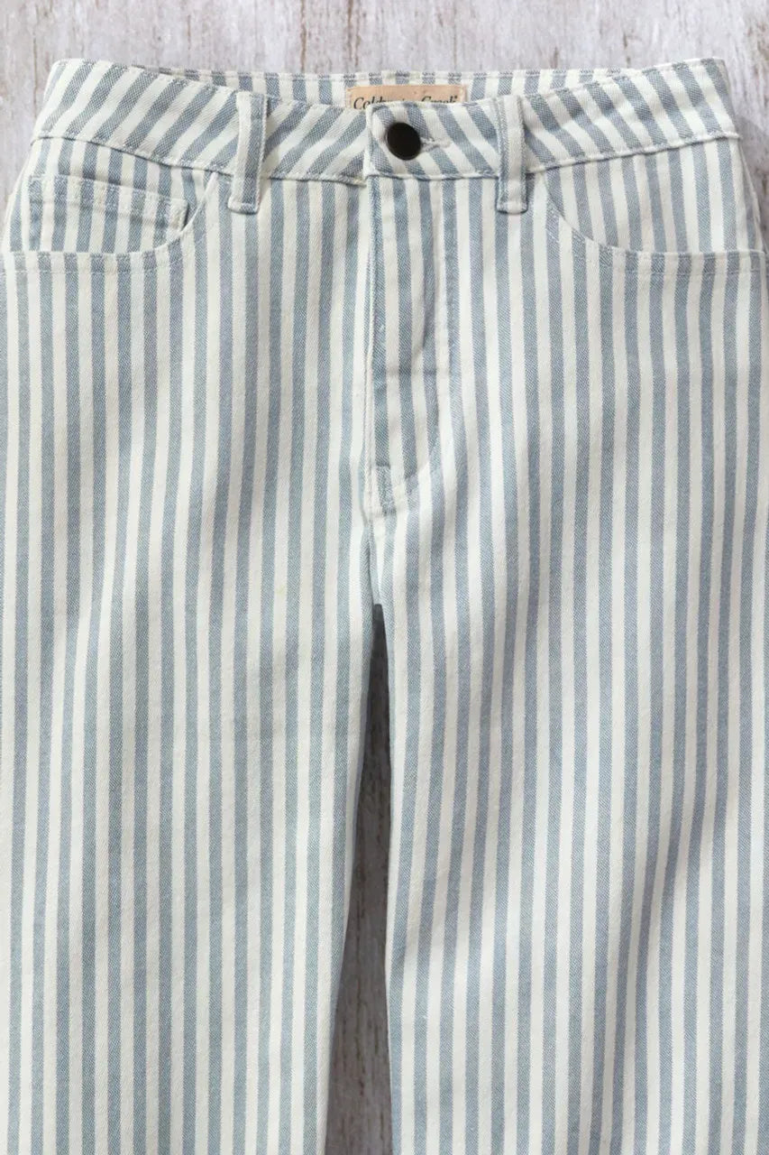 Railroad Stripe Cropped Jeans
