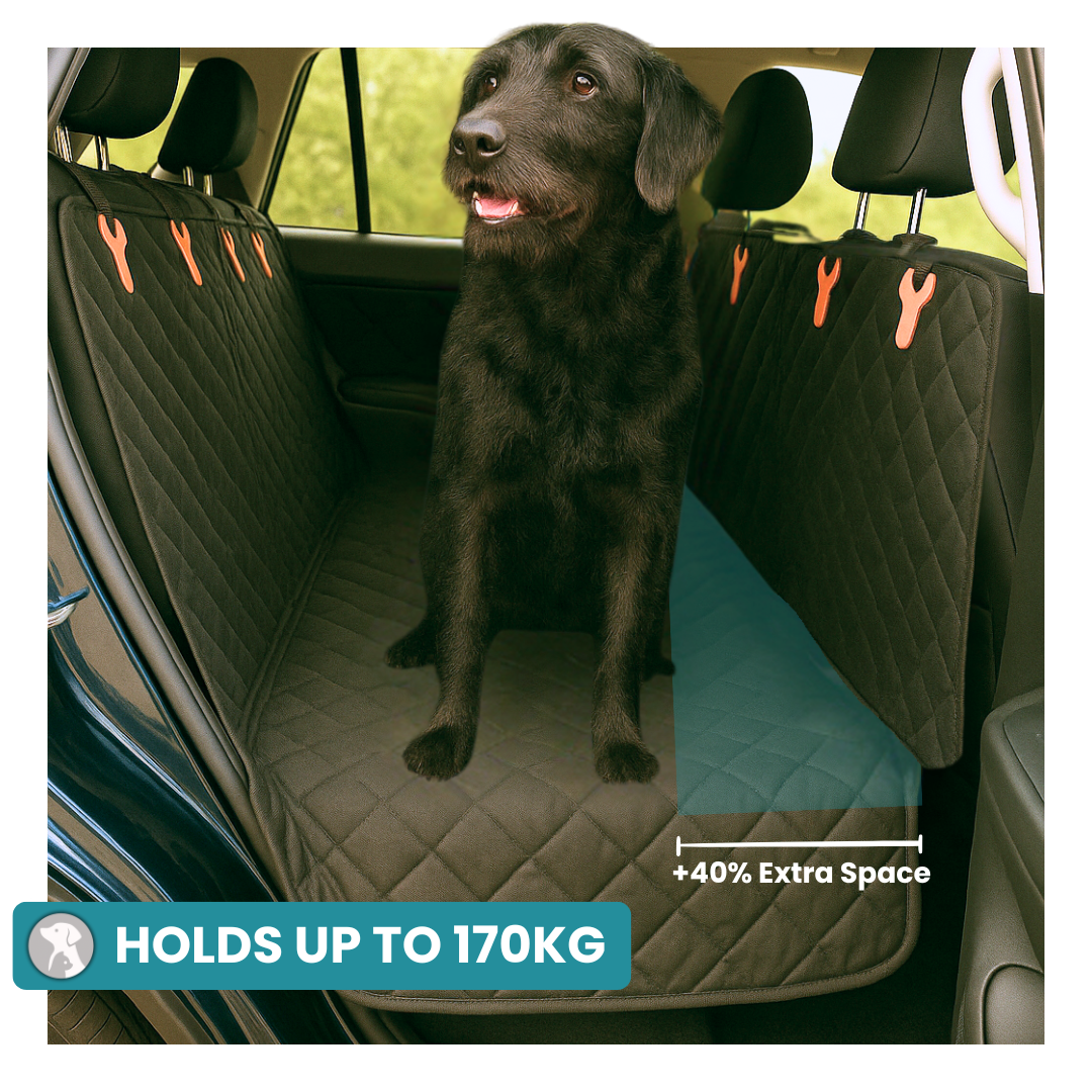 MrBarks Dog Seat Cover - 50% OFF